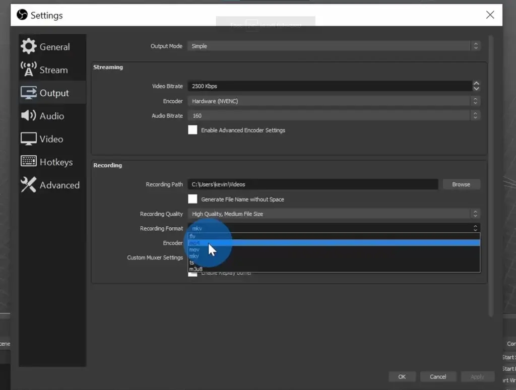 Clicking on Mp4 on the encoder drop down menu