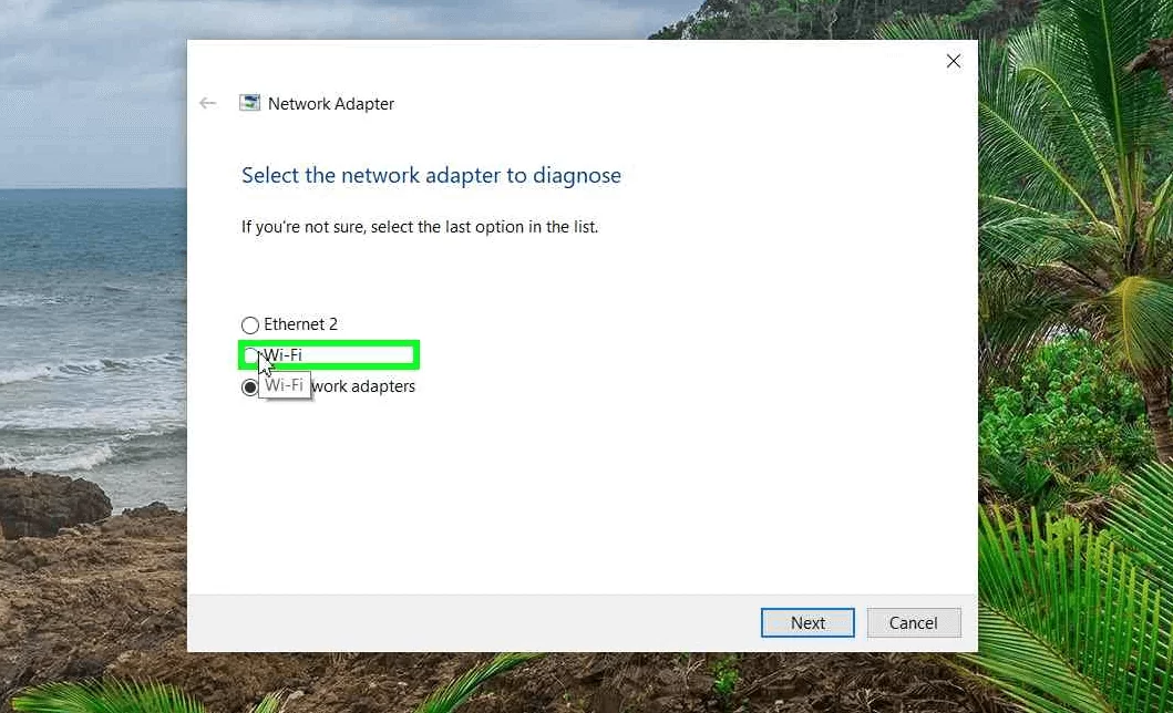 Windows torubleshooter showing available network adapters